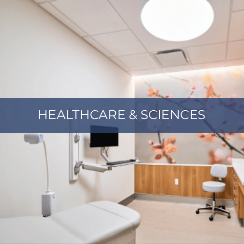 View Healthcare & Sciences Projects